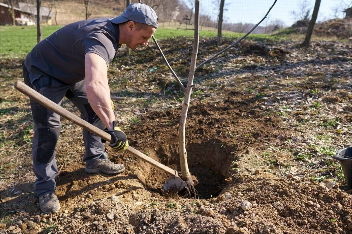 Enhancing Land Quality: Soil Improvement Techniques